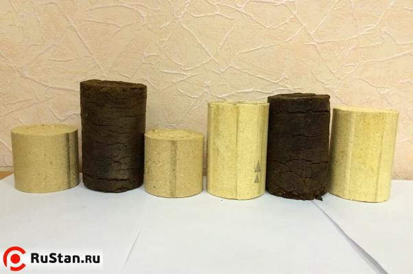 Брикетировочный пресс ПБ-1 фото №10 Брикетировочный пресс ПБ-1 фото №10