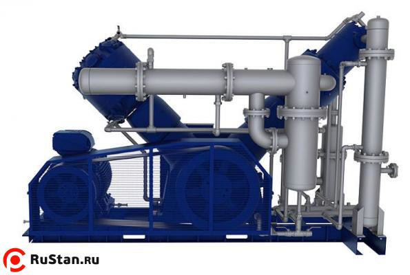 Воздушный безмасляный поршневой компрессор DALGAKIRAN PETMASTER 100 фото №3 Воздушный безмасляный поршневой компрессор DALGAKIRAN PETMASTER 100 фото №3